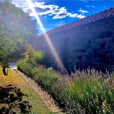 Casa vacanze Out & Les Spirous