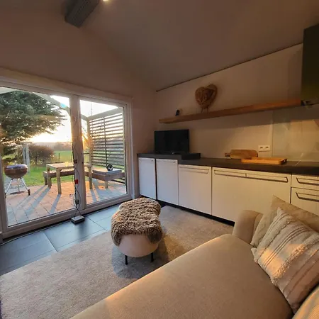 Out & Les Spirous * Les Géronsarts